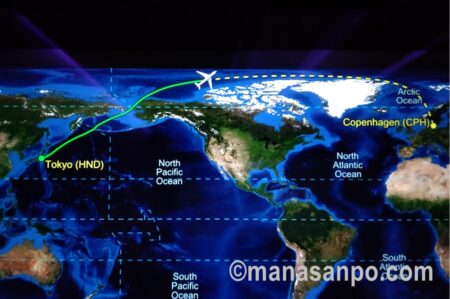 【SASスカンジナビアン航空】乗る前に知っておきたい！効率的な機内サービス
