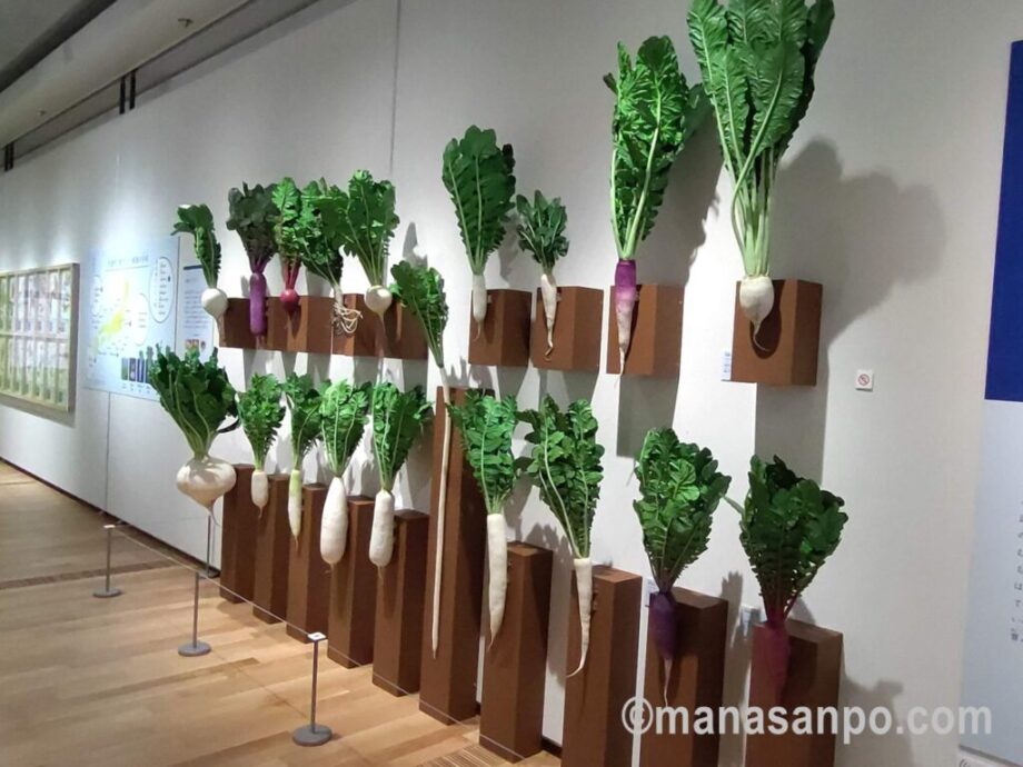 特別展「和食」