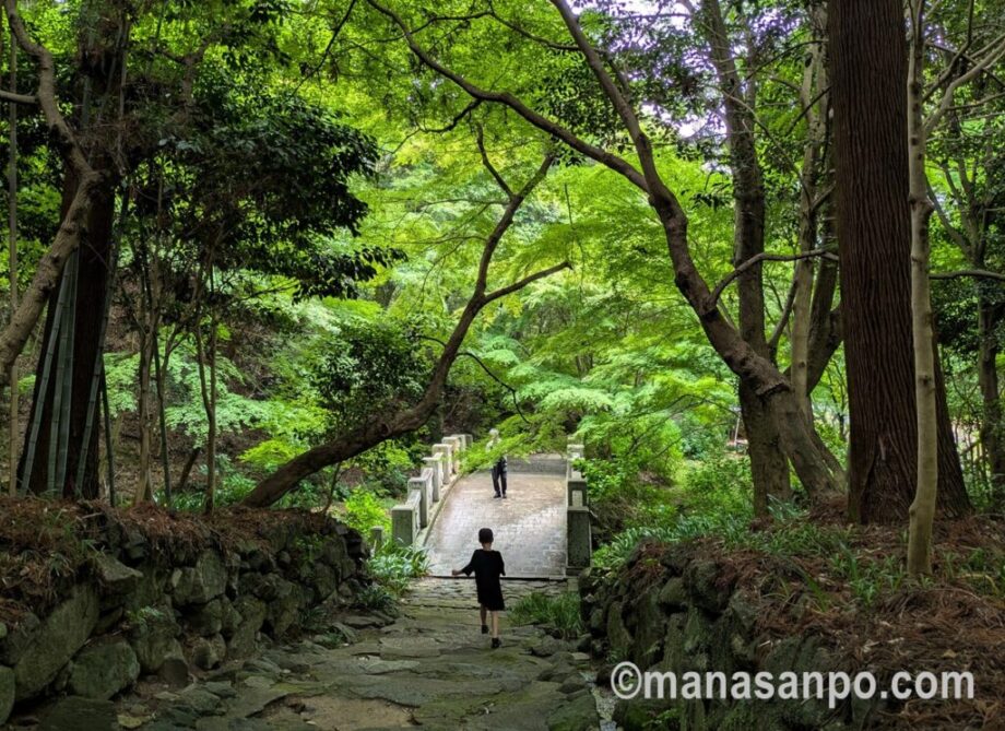 紫陽花寺